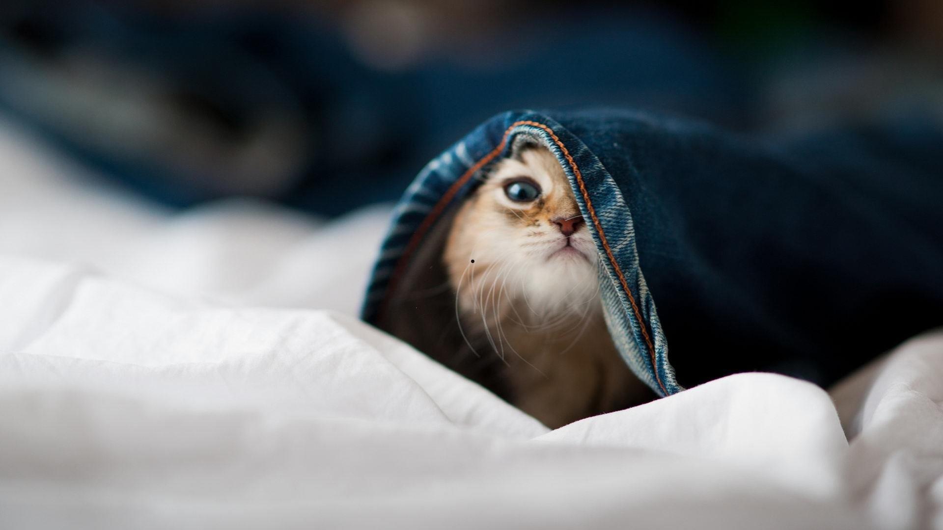 2024热门国产电影排行